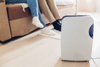 Dehumidifier Installation in Annapolis, MD